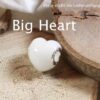 SM Big Heart